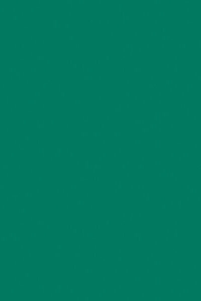 Egger U655 ST9